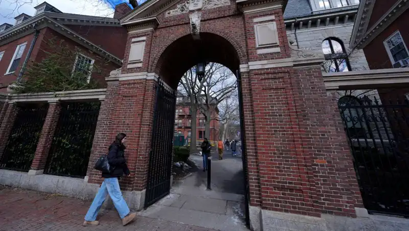 Harvard Profesörleri Trump Yönetimine Karşı Mücadeleye Girdi