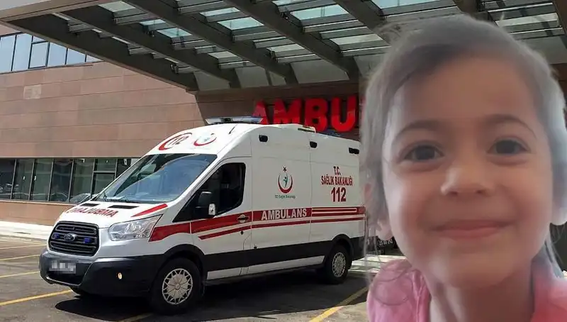 8 Yaşındaki Roza'dan Duygusal Ayrılık: 10 Ay Sonra Gelen Acı Haber